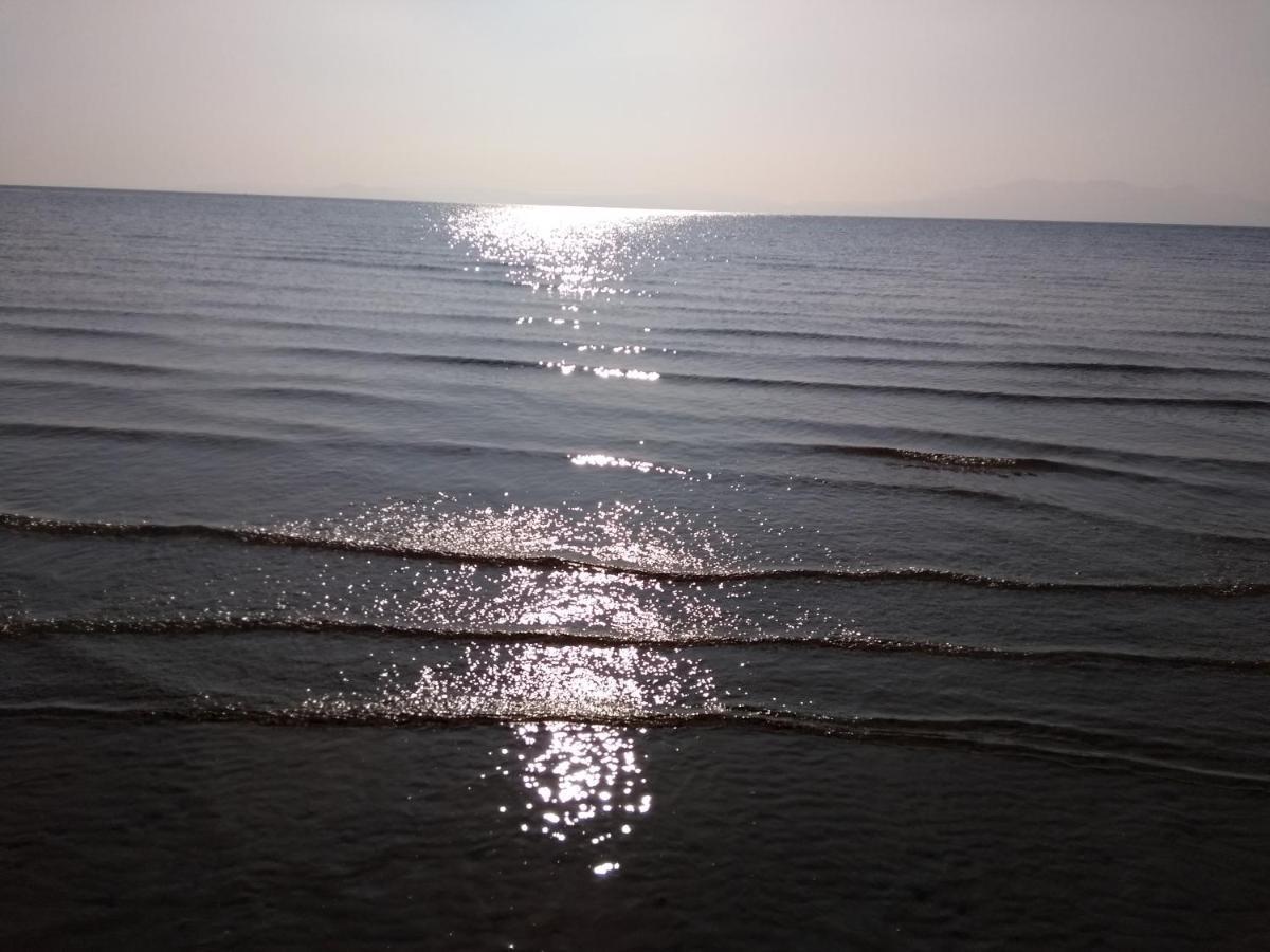 Cleeves Cabins Ailsa Luxury Lodge With Hot Tub Dalry  المظهر الخارجي الصورة